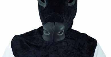 Cabeza de toro para fiestas